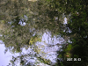 s_PICT0101_thumb.png
